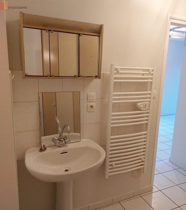 Studio 31m² Saint-Symphorien-sur-Coise - 1 pièce - Photo 2
