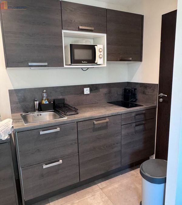 Studio 24m² Tassin-la-Demi-Lune - Meublé, terrasse - Photo 4