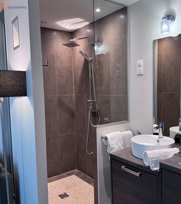 Studio 24m² Tassin-la-Demi-Lune - Meublé, terrasse - Photo 5