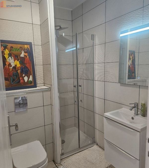 Studio meublé 25m² Lyon 5e - Équipé, lumineux - Photo 1