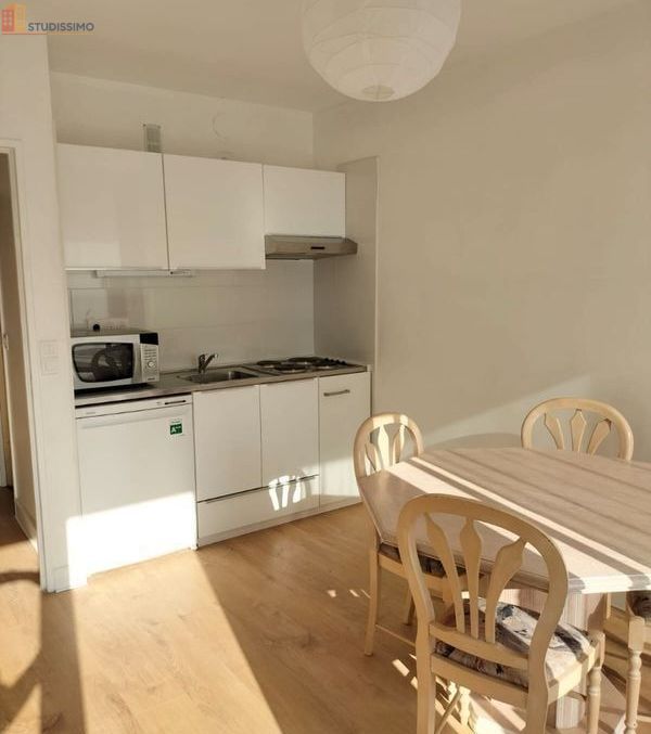 Studio 25m² Paris 19e - Lumineux, terrasse - Photo 3