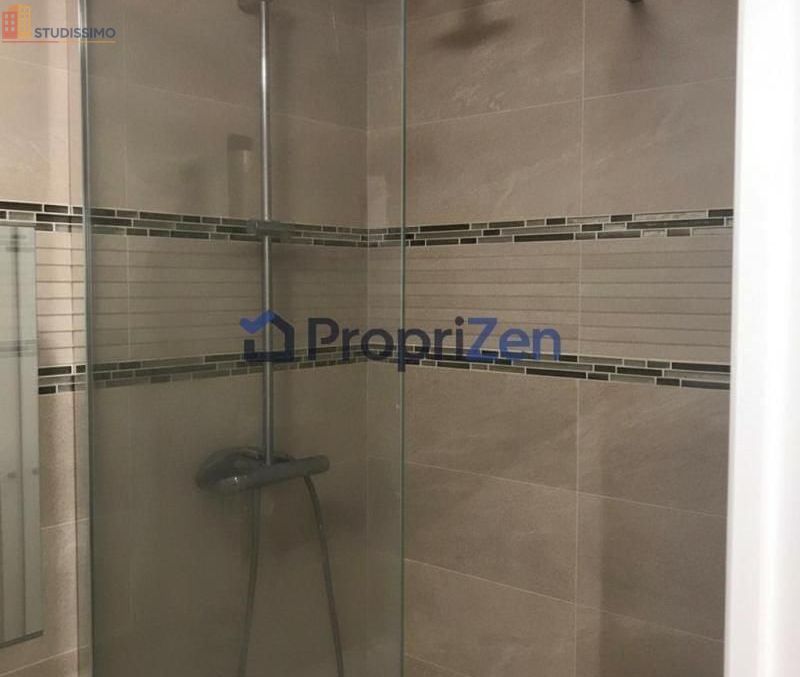 Studio 28m² Paris 11e - Meublé, lumineux - Photo 1