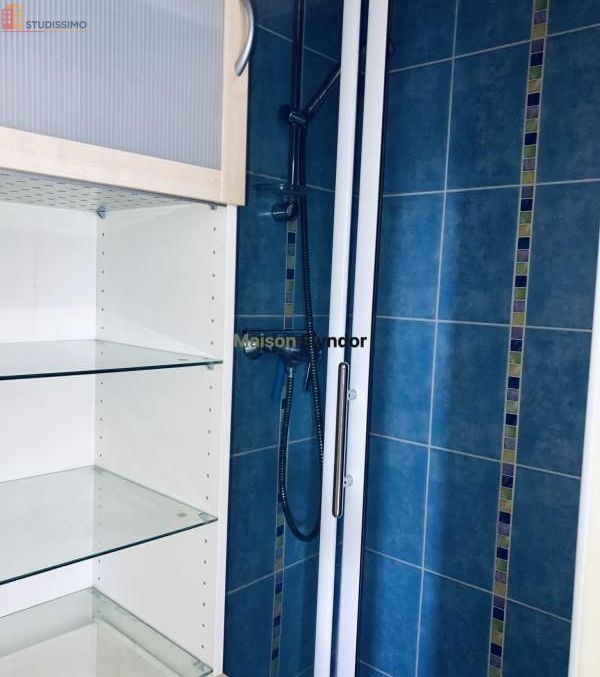 Studio meublé 18m² Paris 9e - Étage élevé, lumineux - Photo 5