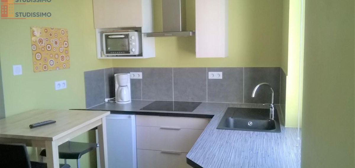 Studio meublé 24m² Vénissieux - Lumineux, proche métro Parilly - Photo 5