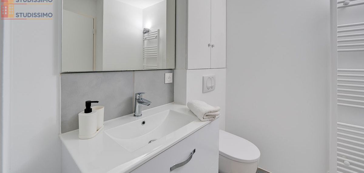 Studio meublé 27m² Paris 15e - Lumineux - Photo 3