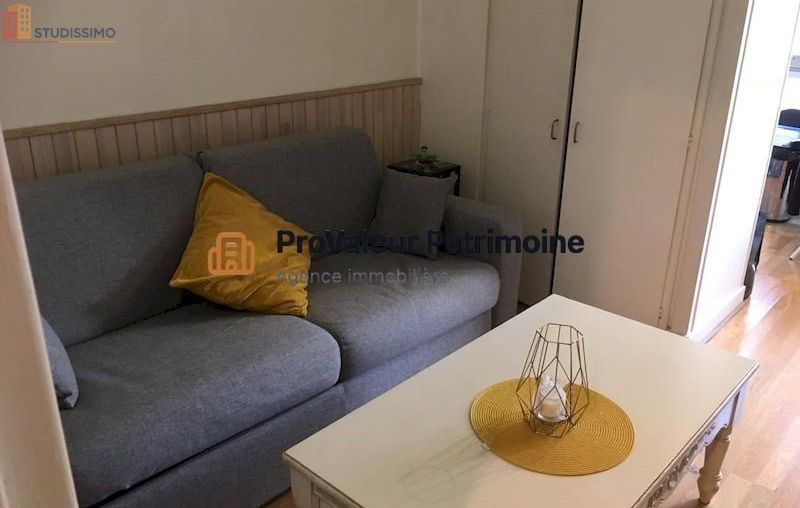 Studio meublé 28m² Paris 19e - Lumineux, DPE C - Photo 4