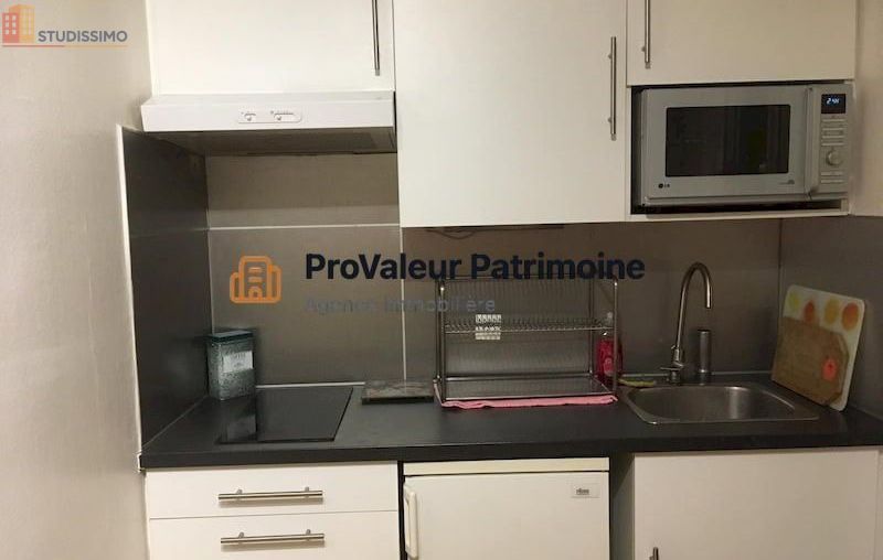 Studio meublé 28m² Paris 19e - Lumineux, DPE C - Photo 3