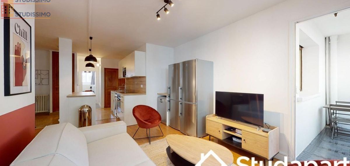 Studio 11m² Lyon 3e - Meublé, lumineux - Photo 3