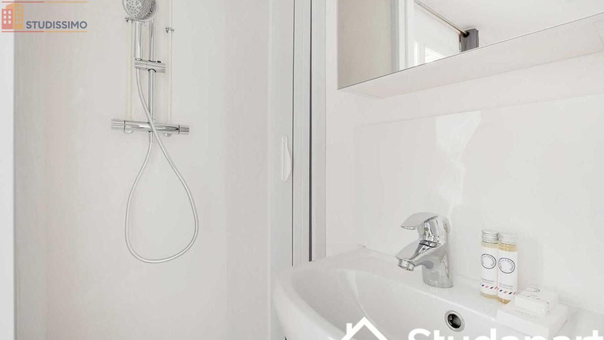 Studio meublé 15m² Paris 15e - Meublé, DPE A - Photo 3