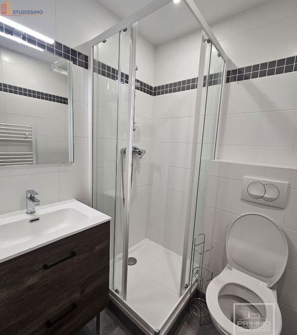Studio meublé 19m² Villeurbanne - Meublé, DPE C - Photo 6