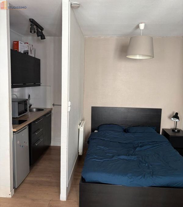 Studio meublé 29m² Lyon 6e - Lumineux, meublé - Photo 1