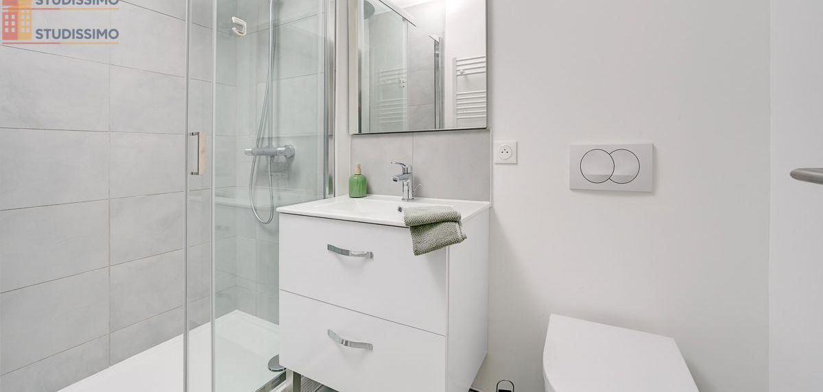 Studio meublé 32m² Paris 15e - Meublé, DPE C - Photo 4