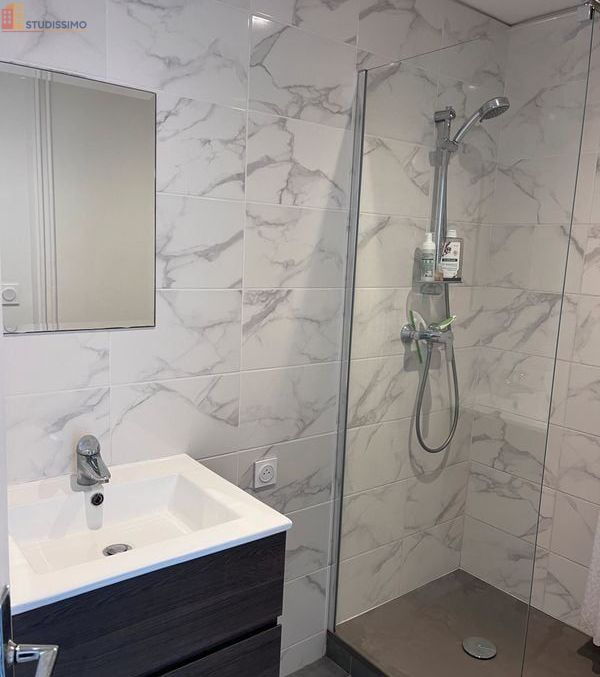 Studio 38m² Villeurbanne - étage 3/5, DPE D - Photo 2