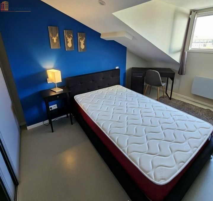 Studio meublé 9m² Lyon 7e - Calme, lumineux - Photo 2