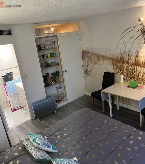 Studio meublé 22m² Dax centre-ville - Lumineux - Photo 10