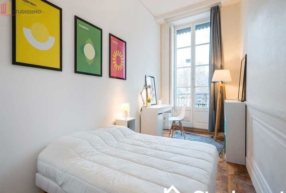 Studio meublé 19m² Lyon 2e - Lumineux, meublé - Photo 4