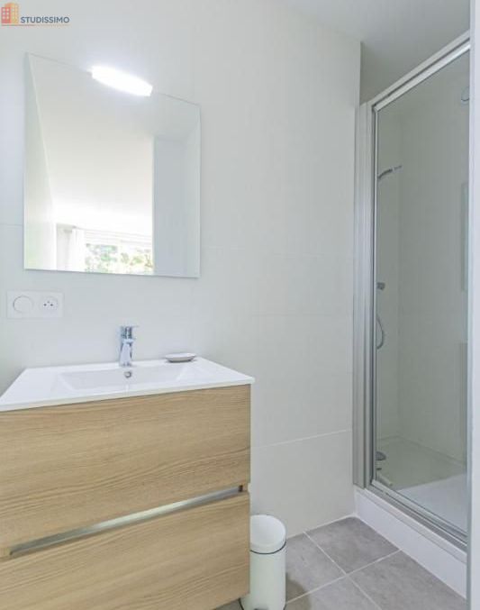 Studio 11m² Villeurbanne - Meublé, lumineux - Photo 3
