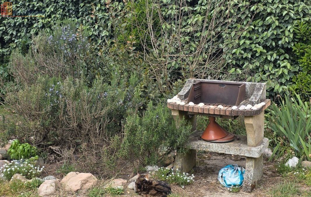 Studio 35m² Capbreton - Jardin, proche commodités - Photo 1