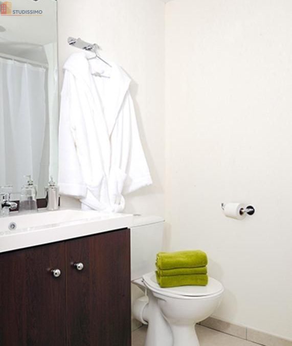 Studio meublé 17m² Lyon 7e - Meublé, DPE D - Photo 11