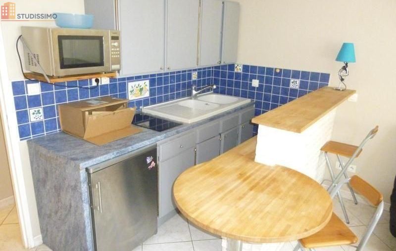 Studio meublé 26m² Dardilly - Meublé, DPE D - Photo 3