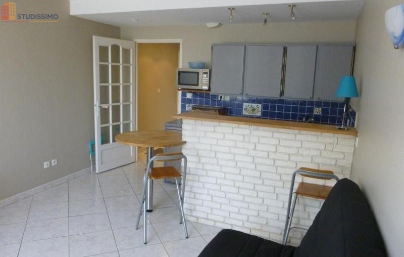 Studio meublé 26m² Dardilly - Meublé, DPE D - Photo 1