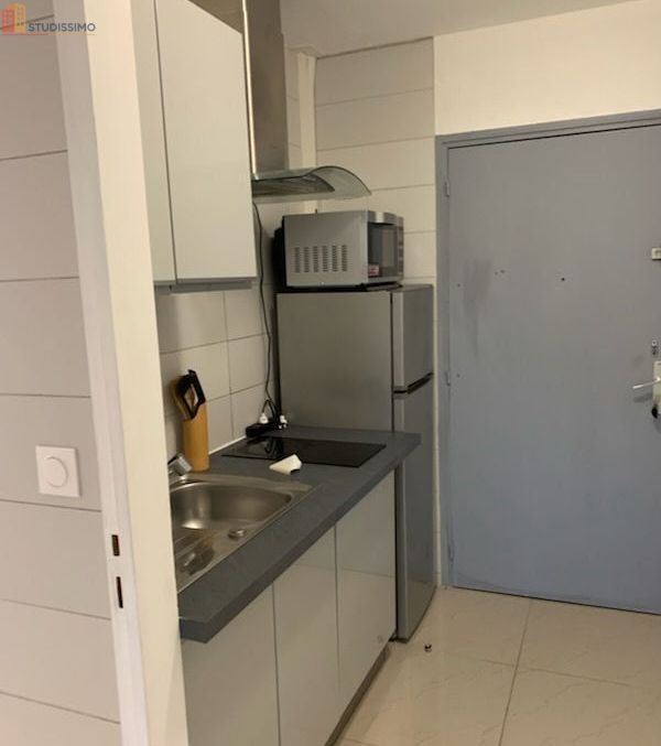 Studio meublé 26m² Dardilly - Refait à neuf, lumineux - Photo 2