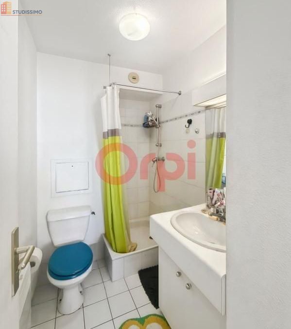 Studio 17m² Lyon 8e - Étage élevé, DPE C - Photo 1