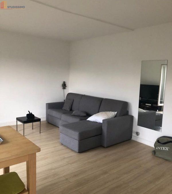 Studio 30m² Paris 19e - Meublé, dernier étage - Photo 1