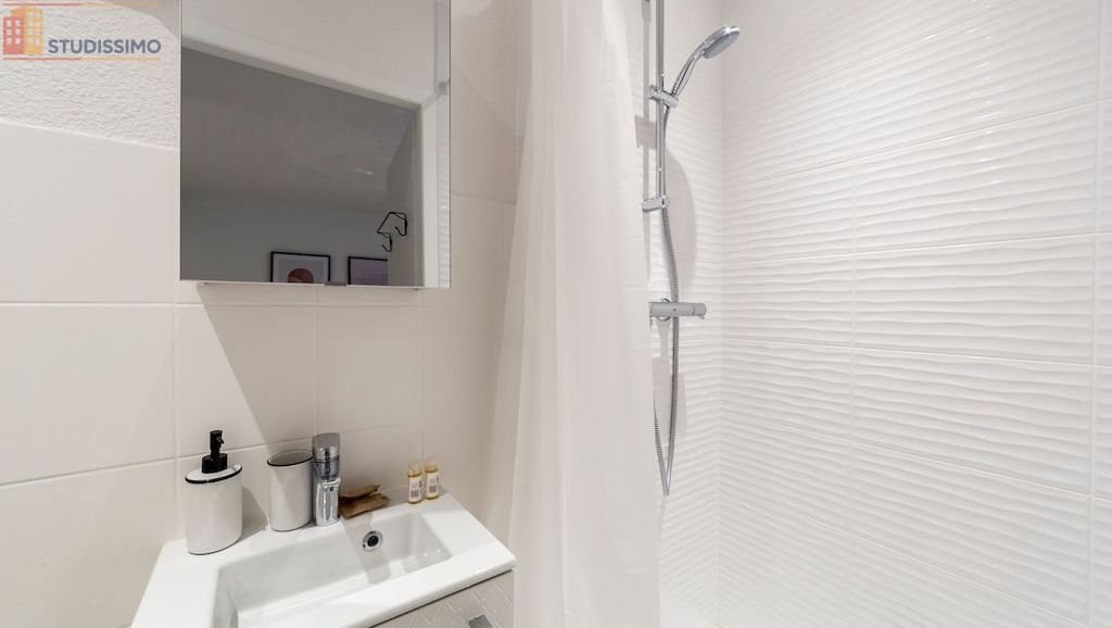 Studio meublé 35m² Francheville 69340 - Meublé, DPE C - Photo 3