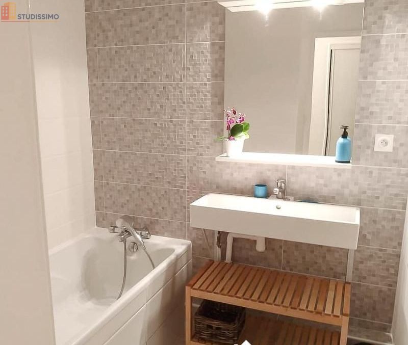 Studio 10m² Villeurbanne - Meublé, étage élevé - Photo 3