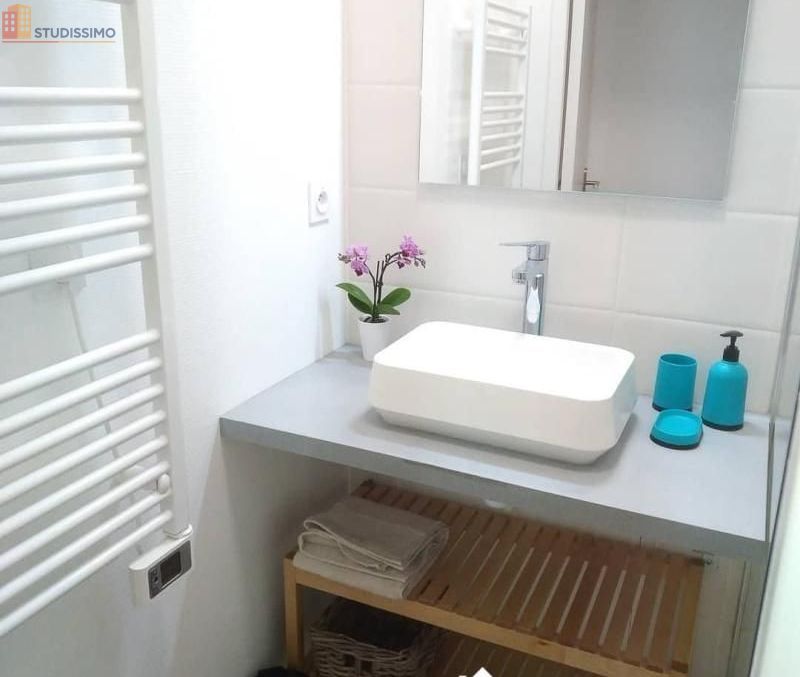 Studio 10m² Villeurbanne - Meublé, étage élevé - Photo 1