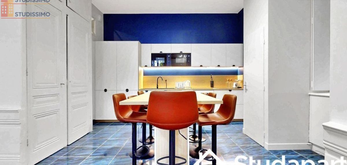 Studio meublé 15m² Lyon 2e - Lumineux, DPE A - Photo 2