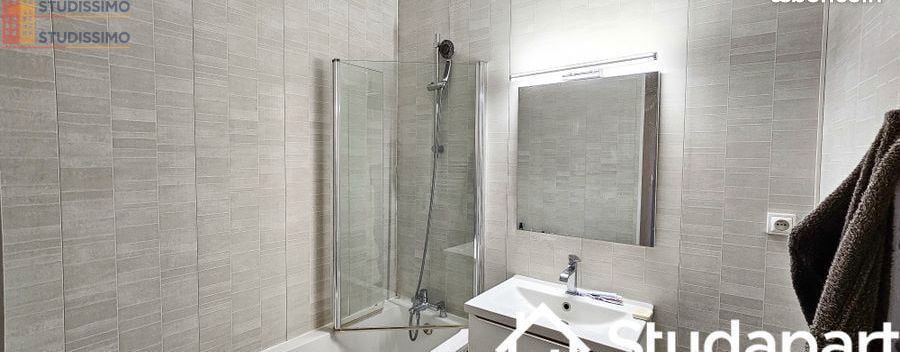 Studio 10m² Villeurbanne - Meublé, lumineux - Photo 1