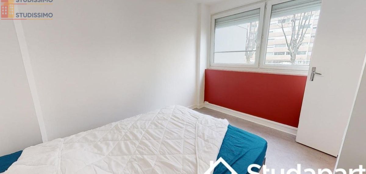 Studio meublé 10m² Villeurbanne - Meublé, 2e étage - Photo 2