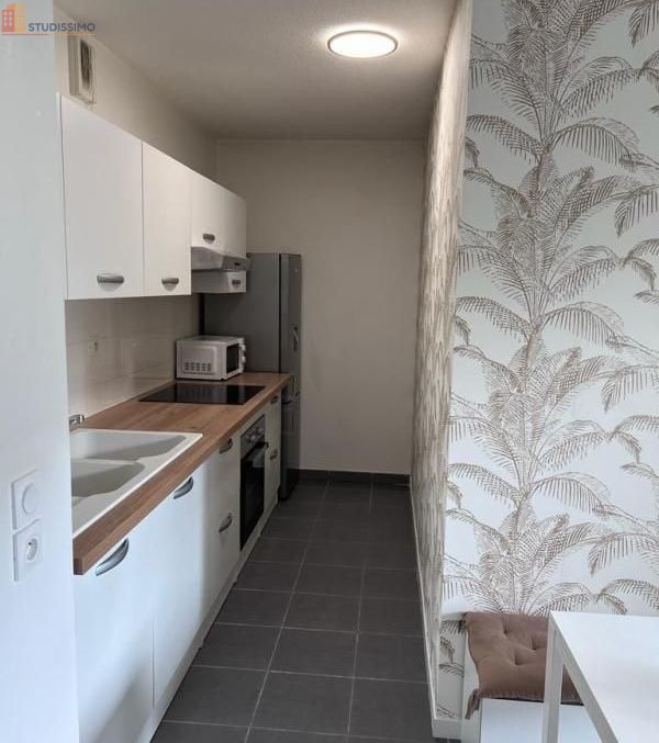 Studio meublé 12m² Villeurbanne - Meublé, DPE A - Photo 4