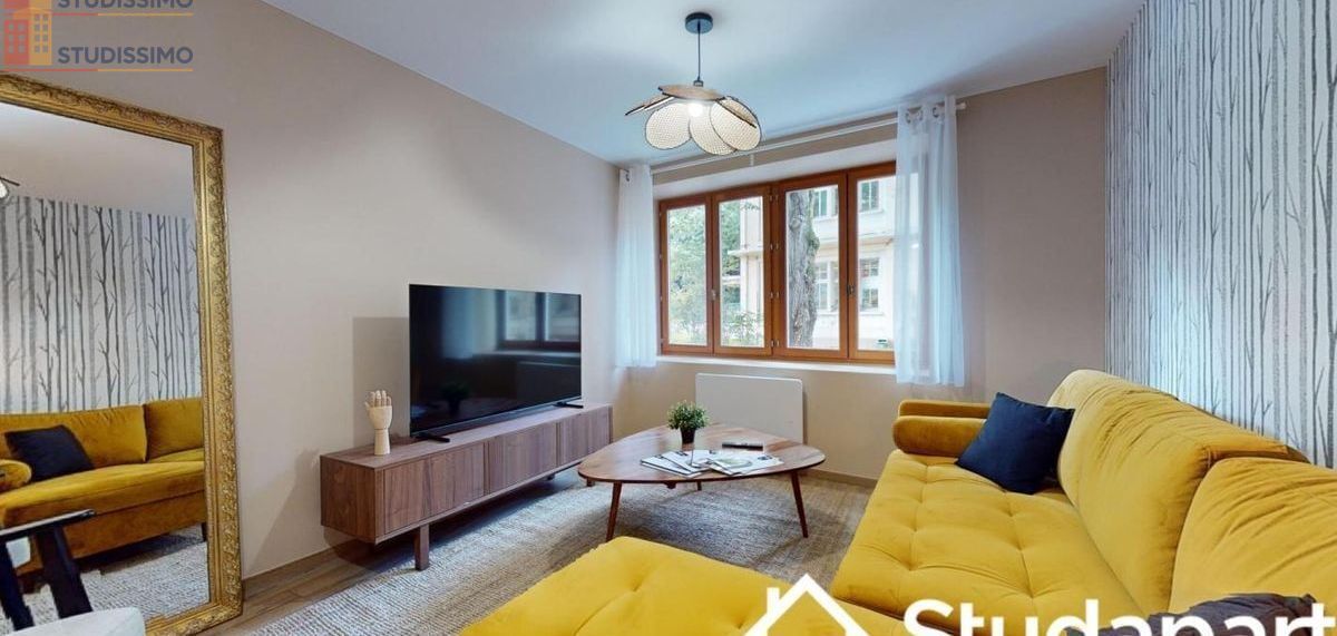 Studio 10m² Lyon 1er - Meublé, lumineux - Photo 4
