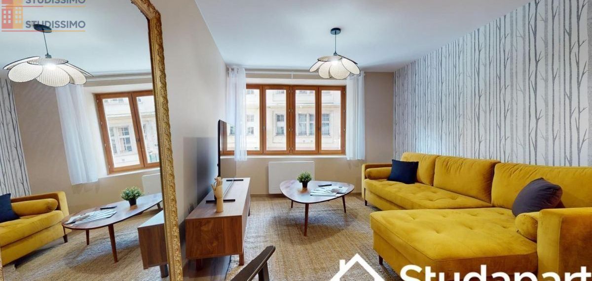 Studio 10m² Lyon 1er - Meublé, lumineux - Photo 2