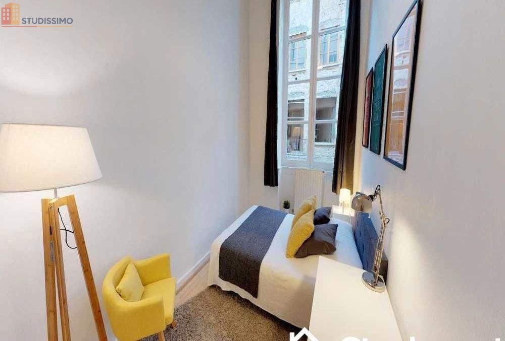 Studio meublé 11m² Lyon 3e - Meublé, proche commodités - Photo 4
