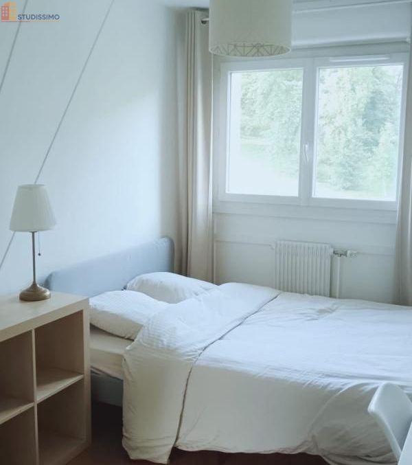 Studio meublé 81m² Lyon 5e - Grand, lumineux - Photo 3