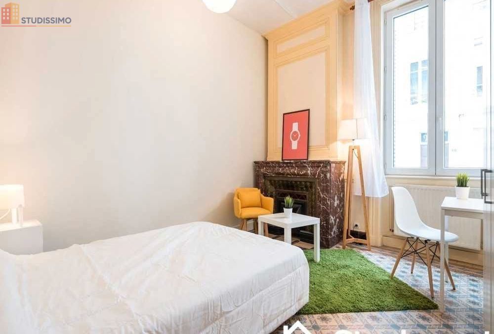 Studio meublé 13m² Lyon 3e - Chambre indépendante - Photo 3