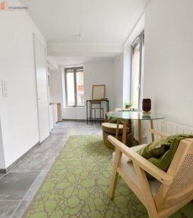 Studio meublé 27m² Villeurbanne - Meublé, 2e étage - Photo 4