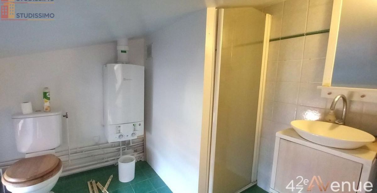 Studio 24m² Rive-de-Gier - Dernier étage, lumineux - Photo 2