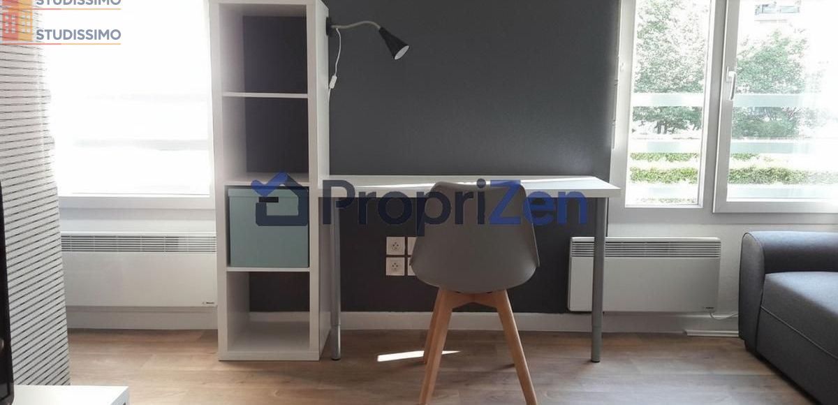 Studio 26m² Lyon 7e - Meublé, lumineux - Photo 9