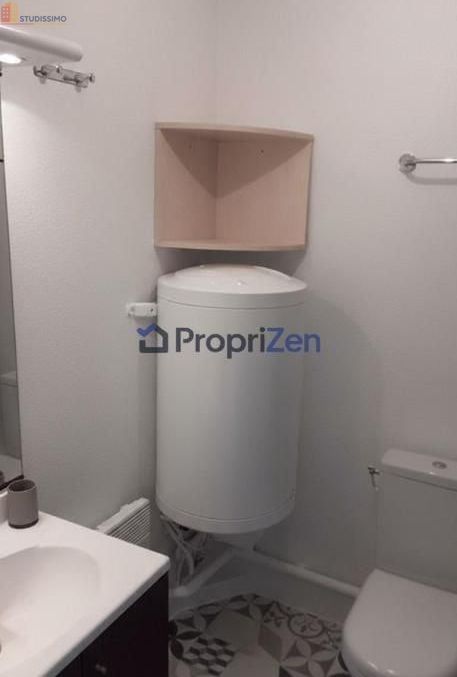 Studio 26m² Lyon 7e - Meublé, lumineux - Photo 6