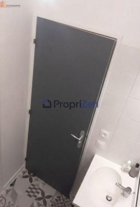 Studio 26m² Lyon 7e - Meublé, lumineux - Photo 4