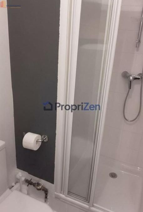 Studio 26m² Lyon 7e - Meublé, lumineux - Photo 3