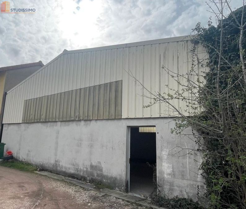 Studio 150m² Roanne - Grand volume, style loft - Photo 3