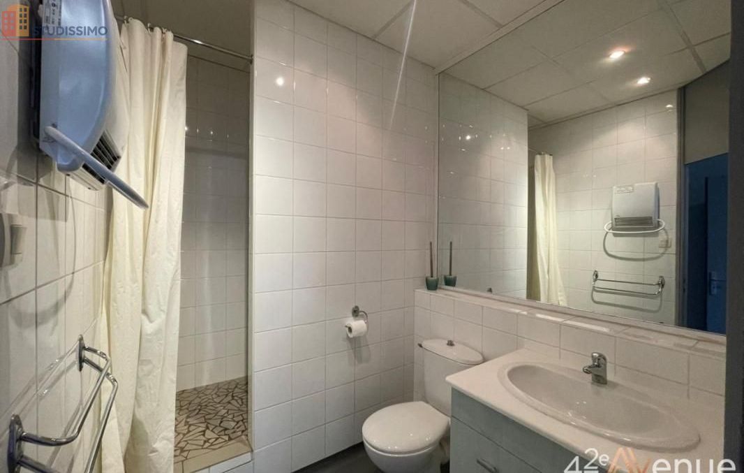 Studio 19m² Saint-Étienne 42000 - Lumineux, 2e étage - Photo 13
