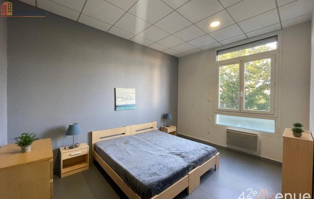 Studio 19m² Saint-Étienne 42000 - Lumineux, 2e étage - Photo 10