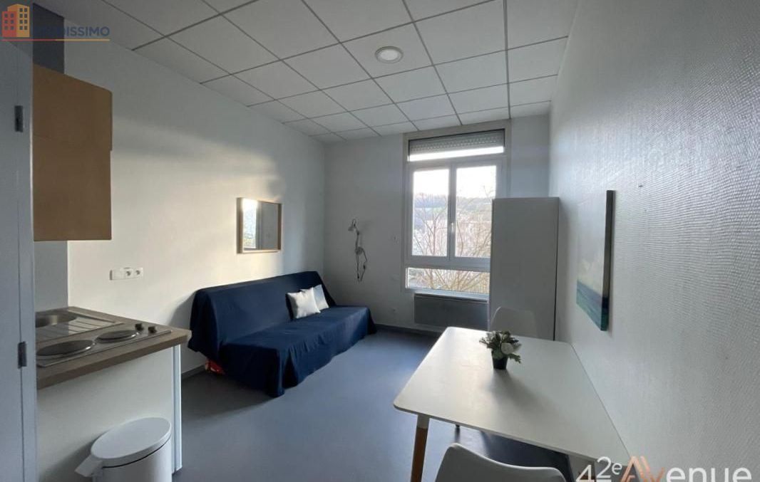 Studio 19m² Saint-Étienne 42000 - Lumineux, 2e étage - Photo 9